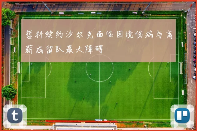 哲科续约沙尔克面临困境伤病与高薪成留队最大障碍